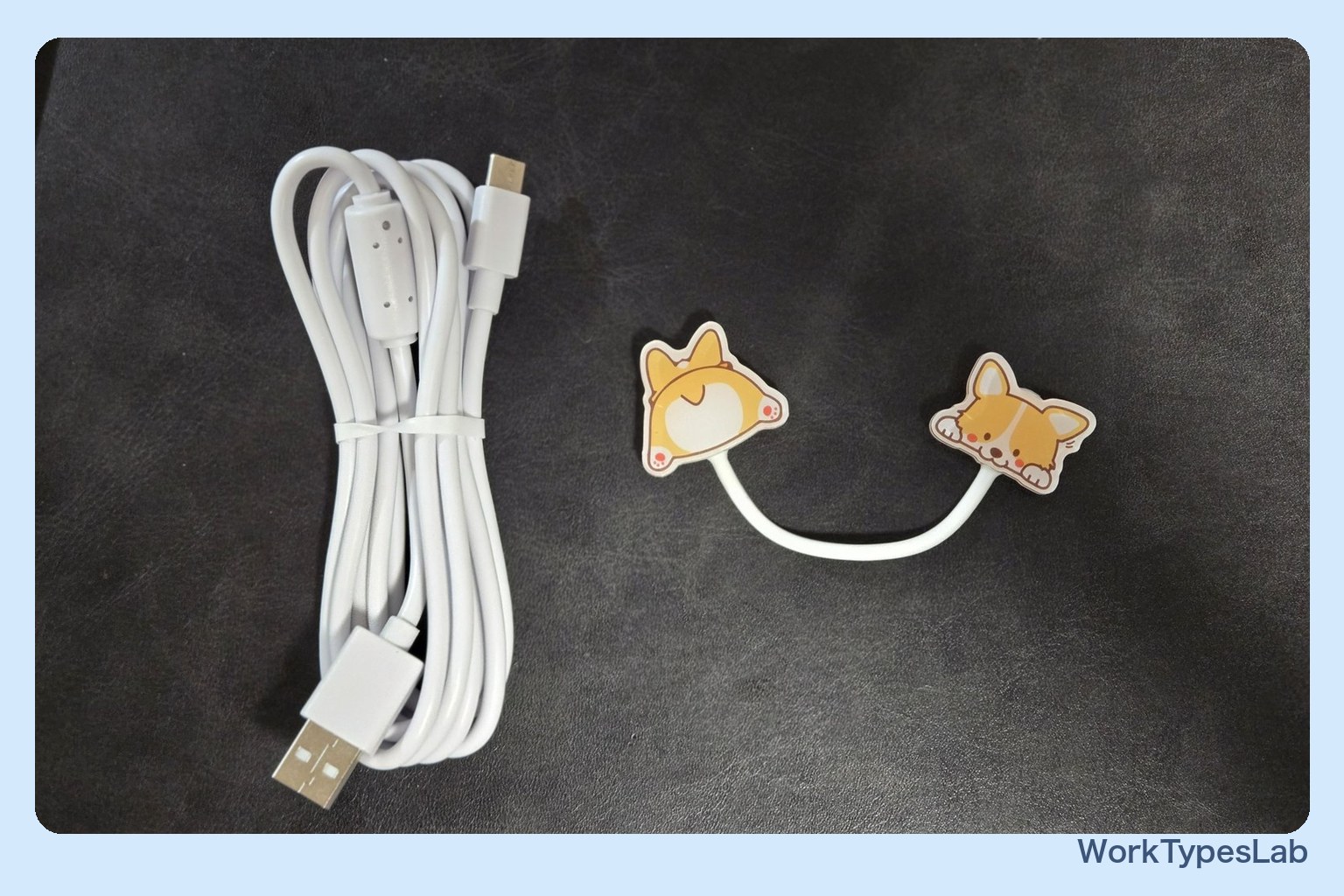 付属のUSB-Cケーブルと、コーギーのケーブルホルダー2個